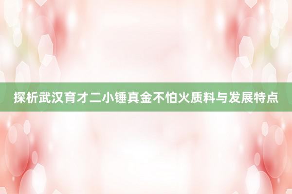 探析武汉育才二小锤真金不怕火质料与发展特点