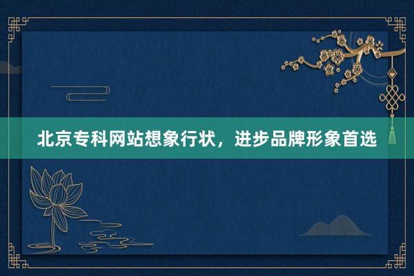 北京专科网站想象行状，进步品牌形象首选
