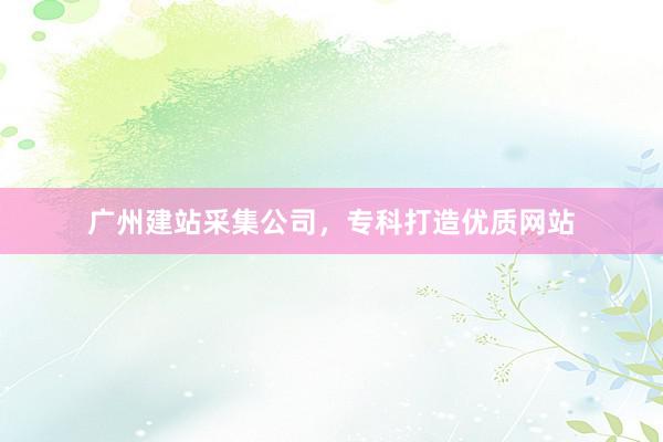 广州建站采集公司，专科打造优质网站